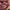 https://res.cloudinary.com/billionhands/image/upload/v1781232909/items/gp5q0nqlcgqe4waojfff.jpg-1cover