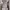 https://res.cloudinary.com/billionhands/image/upload/v1781232911/items/cx4tr1nwyscsh5vj7wjr.jpg-0cover