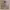 https://res.cloudinary.com/billionhands/image/upload/v1781236398/items/hdgapaofr26txxv3b9qj.jpg-3cover