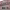 https://res.cloudinary.com/billionhands/image/upload/v1781238703/items/hgyioccvsfogphzw93ud.jpg-2cover