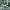 https://res.cloudinary.com/billionhands/image/upload/v1781239656/items/ifo2dkiyylrlhvr1b3ld.jpg-1cover