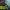 https://res.cloudinary.com/billionhands/image/upload/v1781239817/items/o70scwtzj7rlynemipqf.jpg-2cover