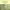 https://res.cloudinary.com/billionhands/image/upload/v1781240034/items/exbucvbmn5xkcn03bmzc.jpg-3cover