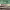https://res.cloudinary.com/billionhands/image/upload/v1781240463/items/umxdjegeqxsf4gjcgfa7.jpg-0cover