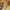 https://res.cloudinary.com/billionhands/image/upload/v1781240998/items/jnvufqqlokgsngpyybs1.jpg-3cover