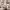 Modern Art Poster with Neutral and Earthy Color Palette cover