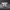 https://res.cloudinary.com/billionhands/image/upload/v1781241932/items/yxow9oqq0srxsasnls12.png-0cover
