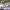 https://res.cloudinary.com/billionhands/image/upload/v1781241935/items/loyzajr1hpyr5cx77sr4.webp-2cover
