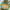 https://res.cloudinary.com/billionhands/image/upload/v1781242923/items/tsvw1fwsdfyheg2vkmq7.jpg-0cover