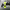 https://res.cloudinary.com/billionhands/image/upload/v1781246221/items/qtiox0uh2ohk3m11pfea.webp-1cover