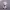 https://res.cloudinary.com/billionhands/image/upload/v1781247313/items/eukzzq73l6go0twfj7uv.avif-1cover