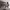 https://res.cloudinary.com/billionhands/image/upload/v1781247469/items/w9xswvyr3mjaqbpkjk5e.jpg-2cover