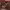 https://res.cloudinary.com/billionhands/image/upload/v1781247477/items/j5hyemuo7x4ns0bnuwtv.avif-1cover