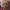Here It Goes Again (OK Go) cover