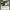 https://res.cloudinary.com/billionhands/image/upload/v1781247895/items/a1zkqhrcdeim4q8etgtu.webp-1cover