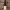 https://res.cloudinary.com/billionhands/image/upload/v1781248165/items/oqdwxmglnjnvmgoczllf.webp-1cover