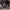 https://res.cloudinary.com/billionhands/image/upload/v1781249076/items/zgrnqqlgkbrc8hdefe8n.jpg-3cover