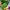 Smoothie verde (espinacas, manzana, jengibre) cover