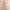 https://res.cloudinary.com/billionhands/image/upload/v1781252114/items/fbilwhc9evwlakrdir1a.png-3cover