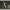 https://res.cloudinary.com/billionhands/image/upload/v1781252425/items/sl9qjecwogcles11sbda.jpg-3cover