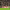https://res.cloudinary.com/billionhands/image/upload/v1781252648/items/nugqm4ei8kbjzmebvxo3.avif-2cover