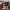 https://res.cloudinary.com/billionhands/image/upload/v1781254024/items/d0glwfmtgykzb3oiaqxj.png-1cover