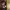 https://res.cloudinary.com/billionhands/image/upload/v1781254474/items/imtqbl9s1t0qf0s1msy1.jpg-2cover