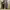 https://res.cloudinary.com/billionhands/image/upload/v1781255204/items/f2lvsyxkra7jmihjlzzk.avif-3cover