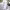 https://res.cloudinary.com/billionhands/image/upload/v1781255204/items/oxqs4racxkkt34pqiqyq.jpg-3cover