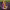 https://res.cloudinary.com/billionhands/image/upload/v1781255318/items/mxmpcgjpflrqsxg3qrr0.jpg-0cover