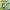 https://res.cloudinary.com/billionhands/image/upload/v1781260789/items/mipoqw1nm8cy0onp6nvu.jpg-2cover