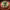 https://res.cloudinary.com/billionhands/image/upload/v1781262003/items/slflgh0wnycvalqmmg3t.jpg-2cover