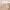 Abstract Nordic Art Poster (Minimalist) cover