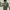 https://res.cloudinary.com/billionhands/image/upload/v1781263549/items/ozmwi0pl9vutplmjyhfs.jpg-3cover