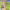 https://res.cloudinary.com/billionhands/image/upload/v1781264709/items/smlj7vtlw7rkowrgkh1d.jpg-1cover