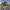 https://res.cloudinary.com/billionhands/image/upload/v1781264710/items/dqufuvwsrmlfpvttt04b.jpg-3cover