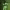 https://res.cloudinary.com/billionhands/image/upload/v1781264873/items/if5vvtnm4wekoggrjr6q.jpg-0cover