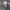 https://res.cloudinary.com/billionhands/image/upload/v1781264887/items/breebneddl6wcdqq6he5.jpg-1cover