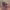 https://res.cloudinary.com/billionhands/image/upload/v1781265826/items/plx7mgvrh8aafdgbvqsh.jpg-0cover