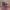 https://res.cloudinary.com/billionhands/image/upload/v1781265833/items/tox2teyzqd3cy2jekri6.jpg-3cover