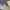 https://res.cloudinary.com/billionhands/image/upload/v1781266241/items/oir5qk1g4kpxub7ugalj.jpg-3cover
