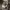 https://res.cloudinary.com/billionhands/image/upload/v1781270927/items/leoffn8gpivgnodcpwix.jpg-3cover
