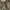 https://res.cloudinary.com/billionhands/image/upload/v1781271263/items/ztgcfxugjpokutt8ivb2.jpg-2cover