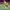 https://res.cloudinary.com/billionhands/image/upload/v1781271328/items/xcupdan2luwhm3iqmizk.avif-0cover
