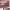 https://res.cloudinary.com/billionhands/image/upload/v1781272266/items/tzjrnxdwhvesraiszkap.jpg-2cover