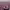 https://res.cloudinary.com/billionhands/image/upload/v1781272486/items/eanhunprtd6drkytakm5.jpg-1cover