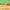 https://res.cloudinary.com/billionhands/image/upload/v1781272599/items/cdpp3uvfiyrootk7i2l3.jpg-2cover