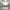 https://res.cloudinary.com/billionhands/image/upload/v1781272781/items/prljgf0cecl94nh30pjy.jpg-0cover