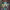 https://res.cloudinary.com/billionhands/image/upload/v1781273521/items/qtp1oewelvb8qseicgt9.jpg-0cover