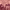 https://res.cloudinary.com/billionhands/image/upload/v1781274927/items/hzwyvtrbtg6awbclcwwr.jpg-0cover